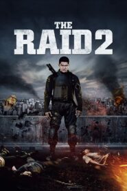 The Raid 2